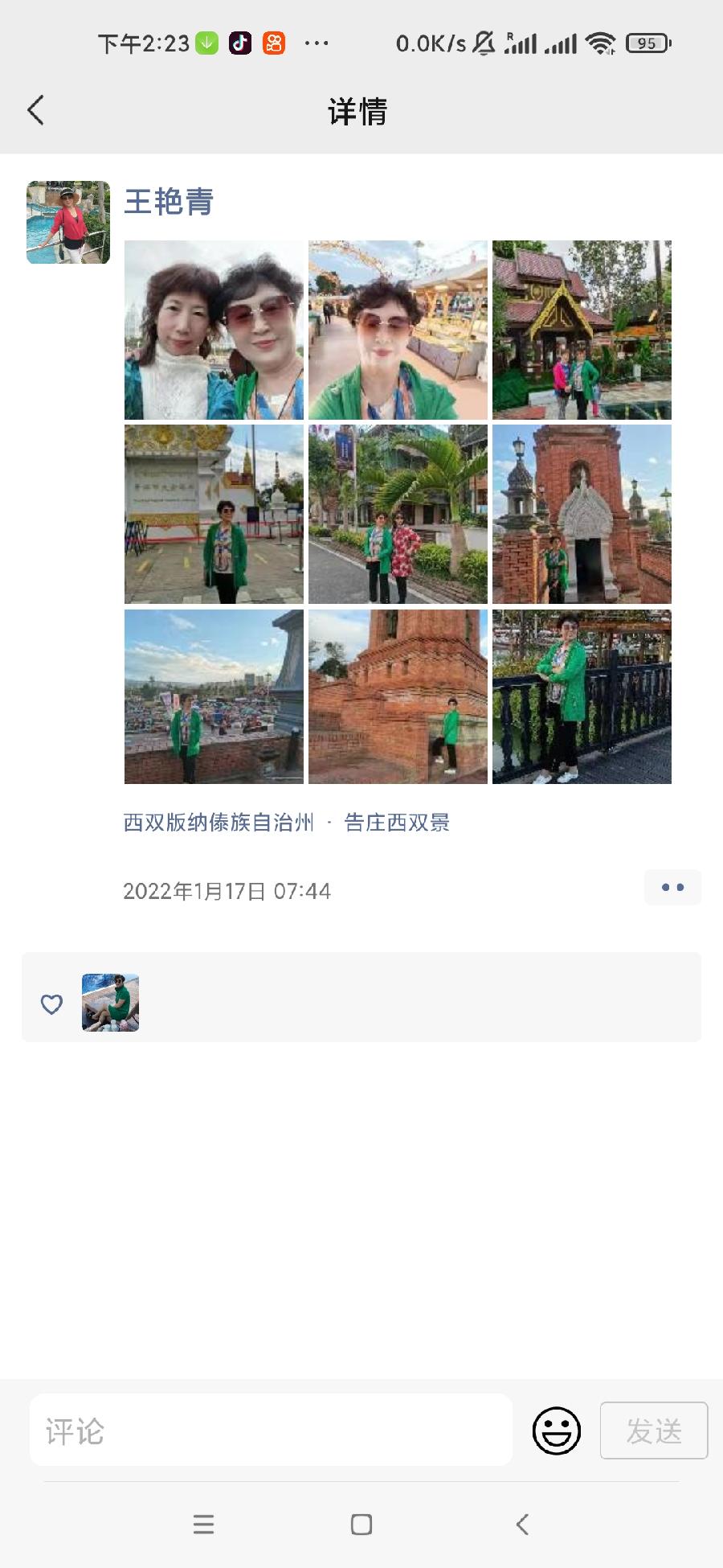 艳青:(3)情系西双版纳（图24）