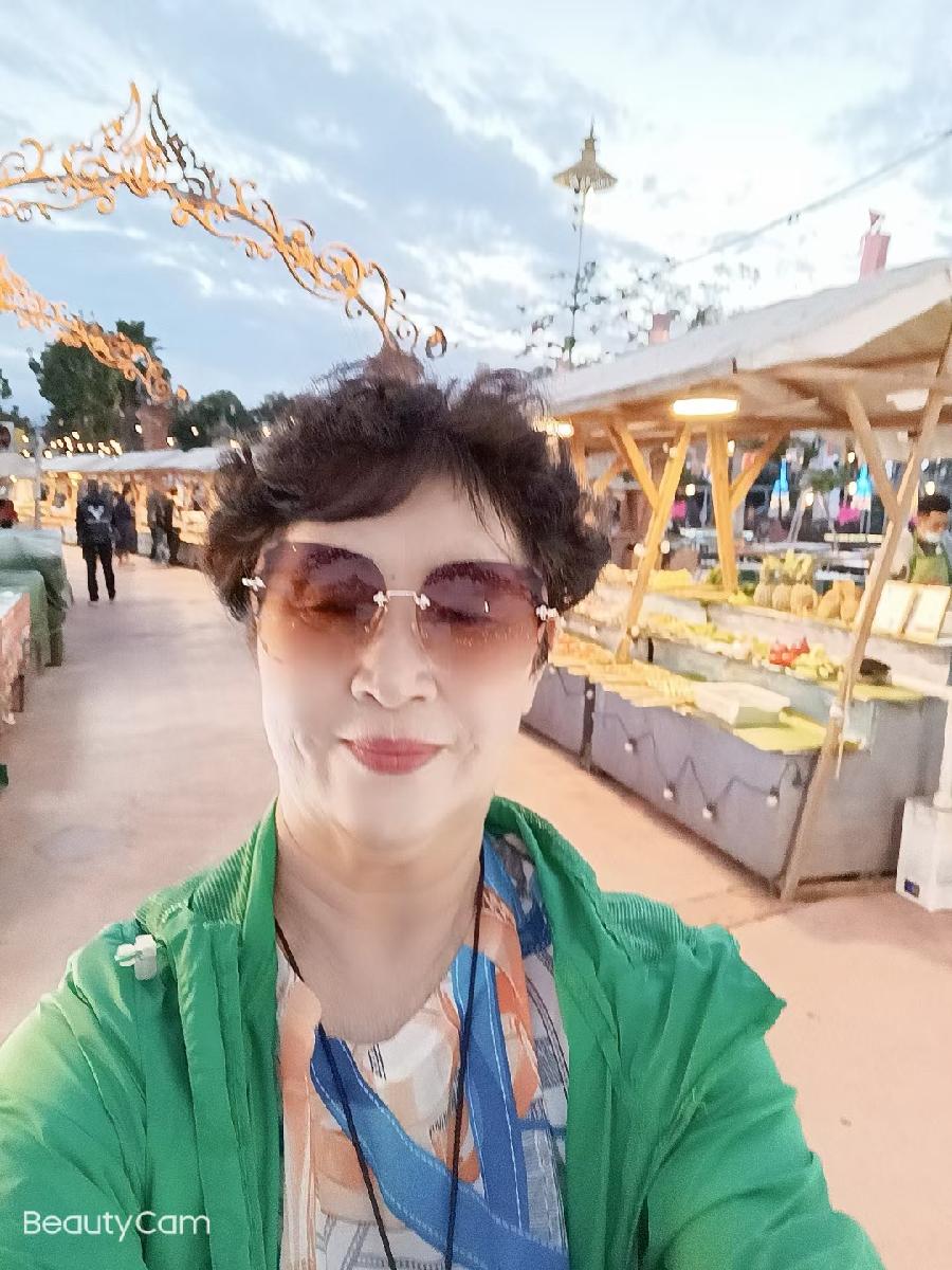 艳青:(3)情系西双版纳（图29）