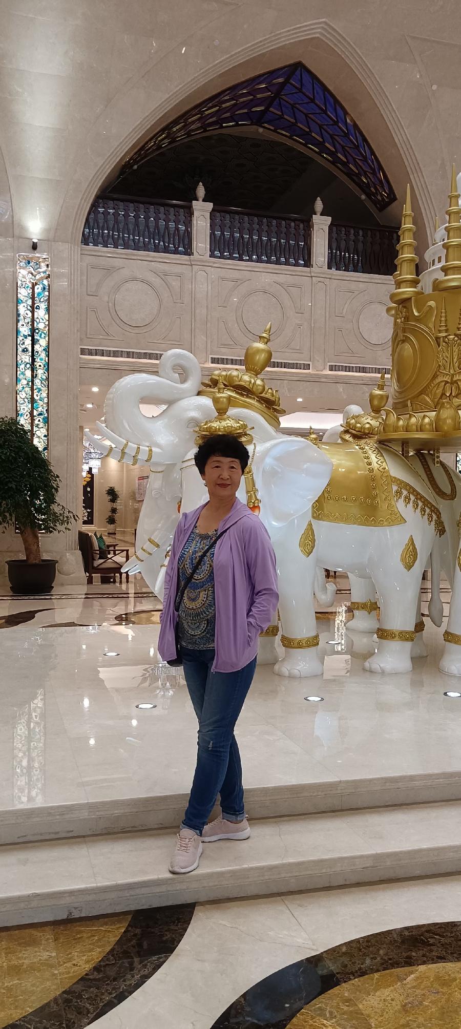 艳青:(3)情系西双版纳（图51）