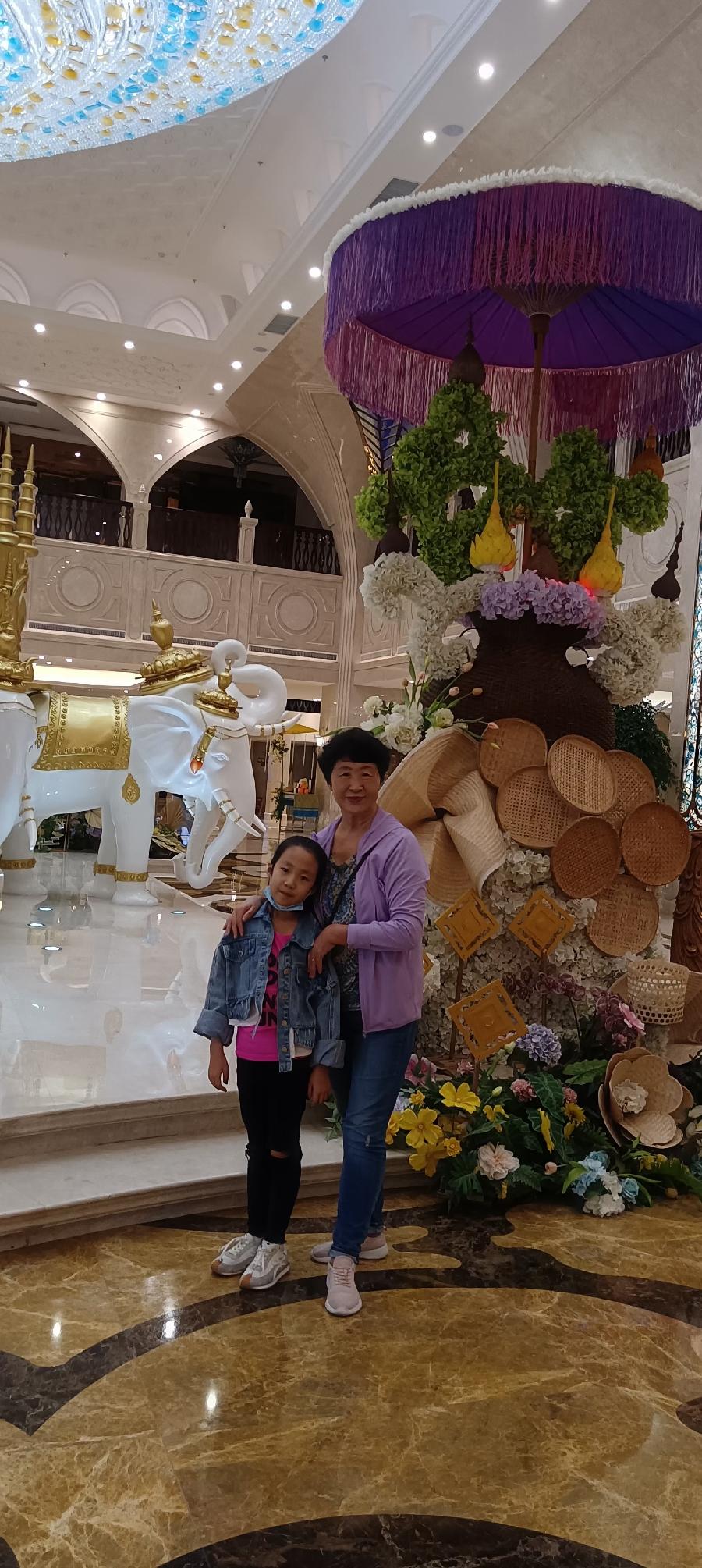 艳青:(3)情系西双版纳（图52）