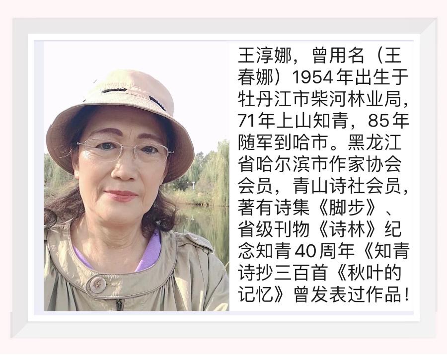 【梅园之音】听忽然朗诵《黑土地》作者：王淳娜（图2）