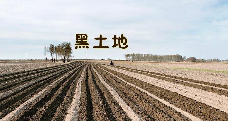 【梅园之音】听忽然朗诵《黑土地》作者：王淳娜（图4）