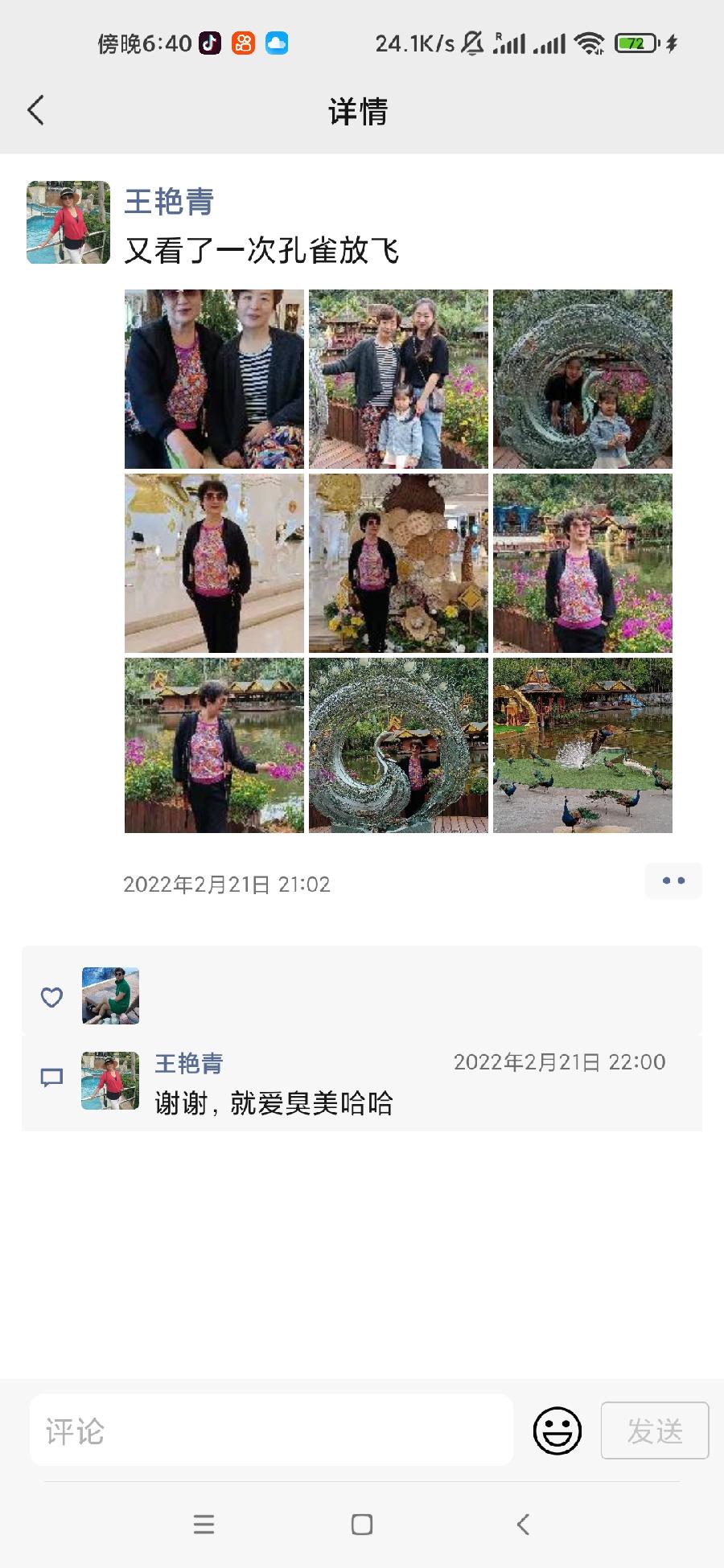 艳青:(3)情系西双版纳（图84）
