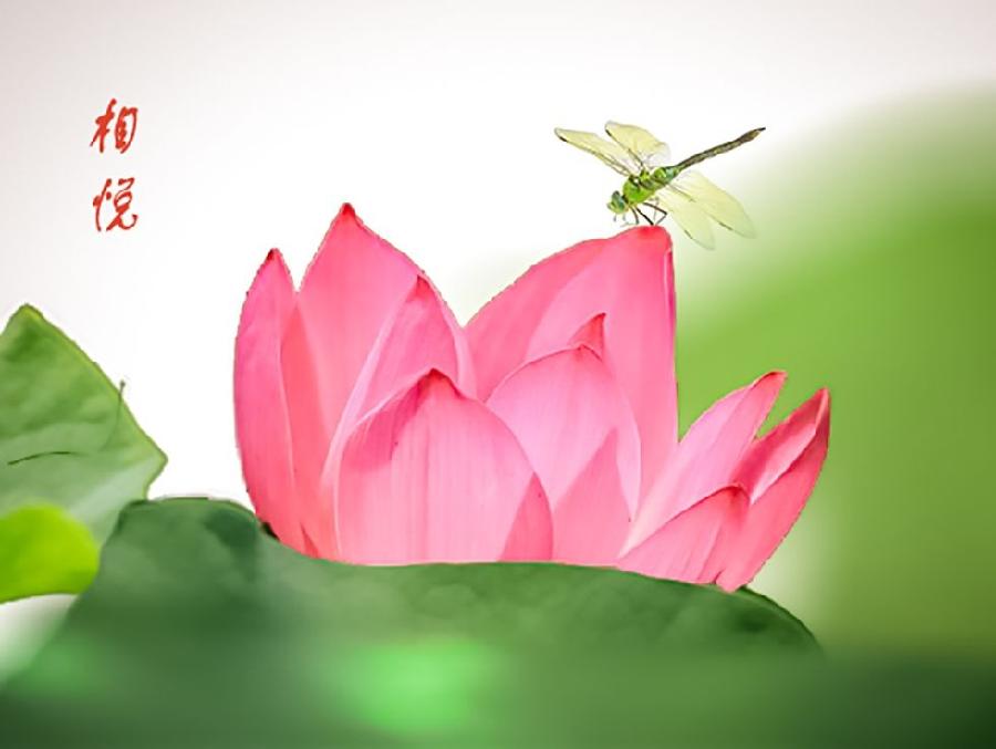 【有声诗刊专辑】‖ 《贵阳我来了》作者:莲心| 主播:慧贤【第112期】审核:宏红(图3)