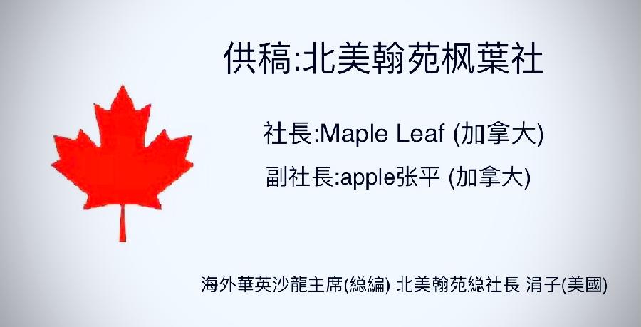 现代诗十首 海外華英刊（图3）