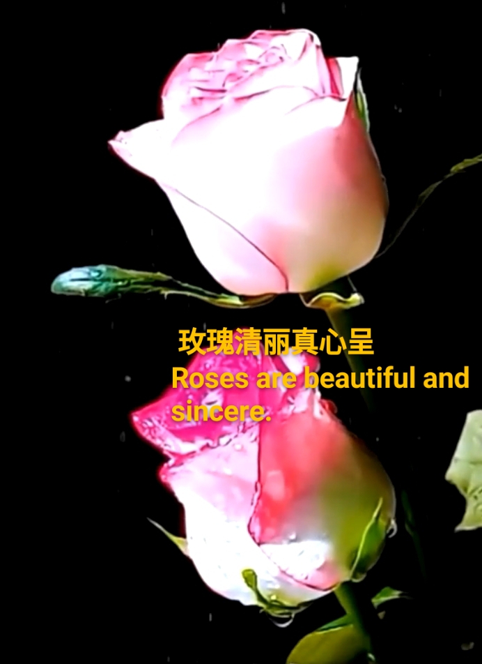 林耀平先生引人深思《退休后人生依然精彩》|中国桂柳之春都市文学社70期(图5)