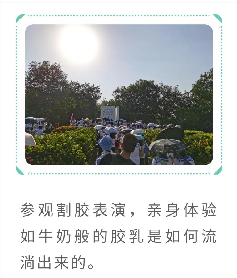 ​西双版纳州第一中学2022年科技活动周活动简报（图19）