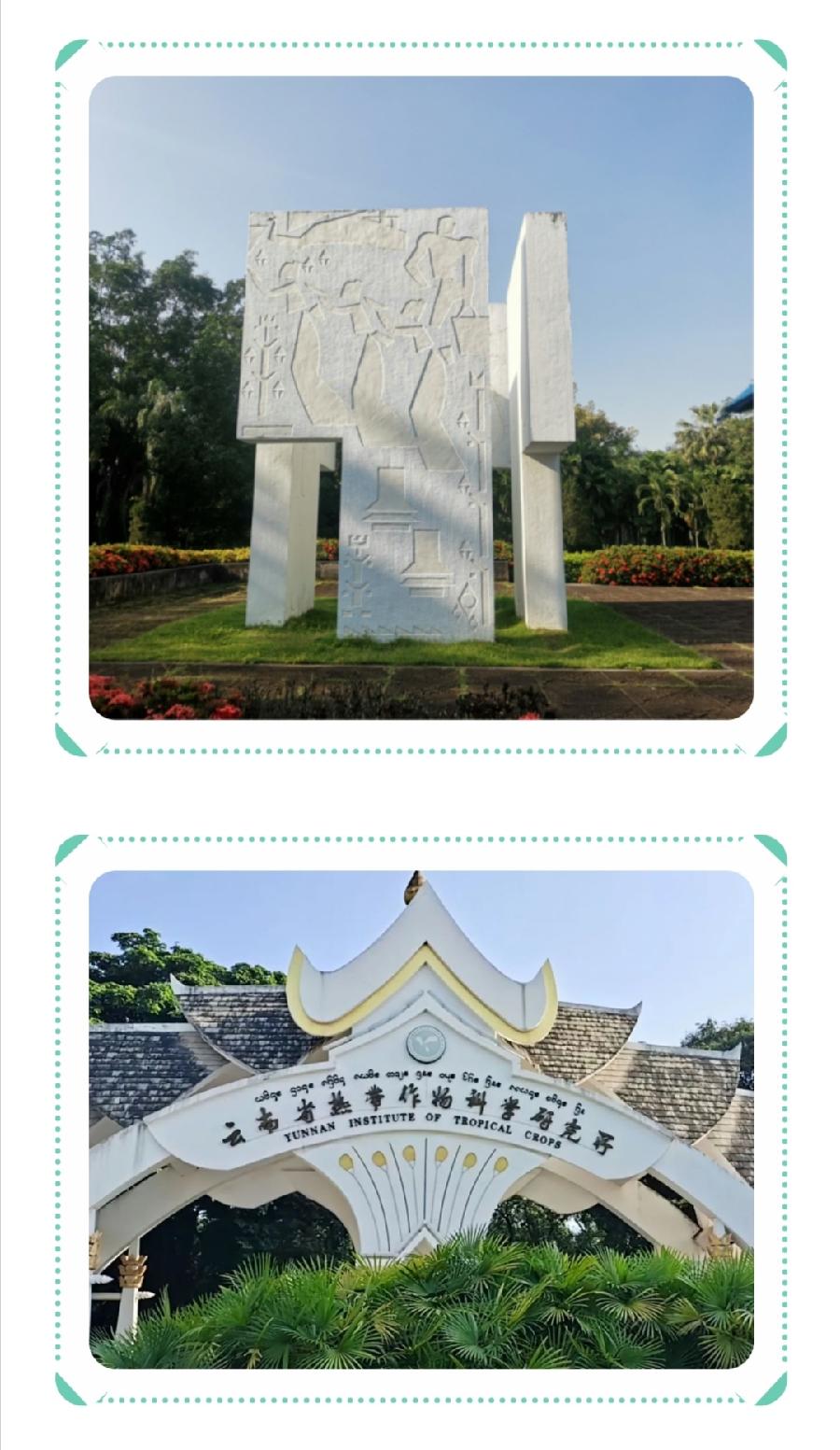 ​西双版纳州第一中学2022年科技活动周活动简报（图18）