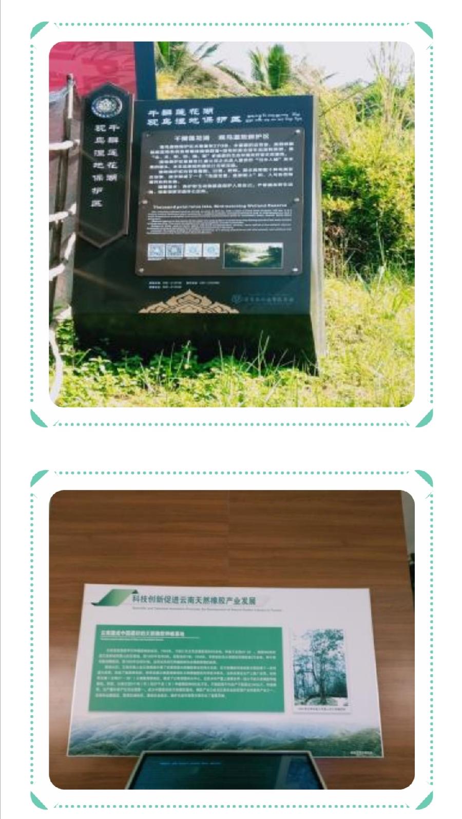 ​西双版纳州第一中学2022年科技活动周活动简报（图37）