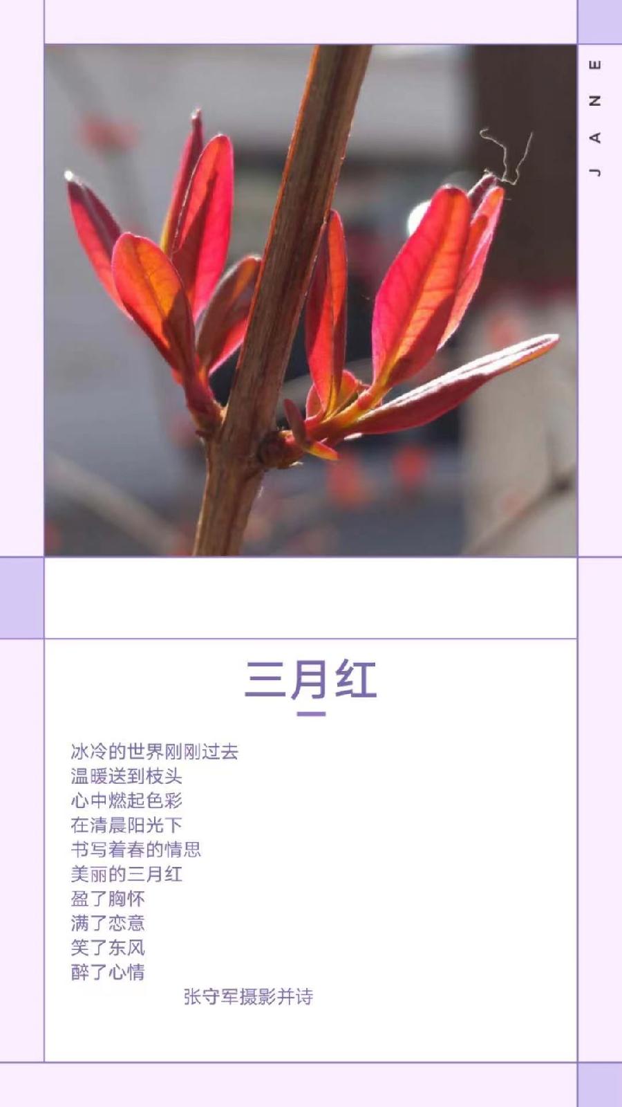 【雅诗总会】精品★行走在艺海岸边——张守军诗书画一览(图6)