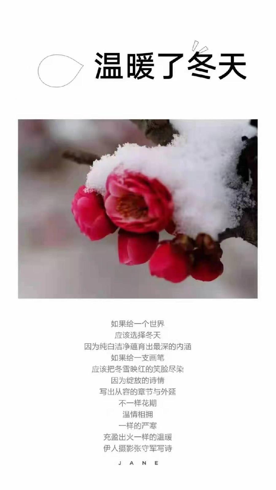 【雅诗总会】精品★行走在艺海岸边——张守军诗书画一览(图12)