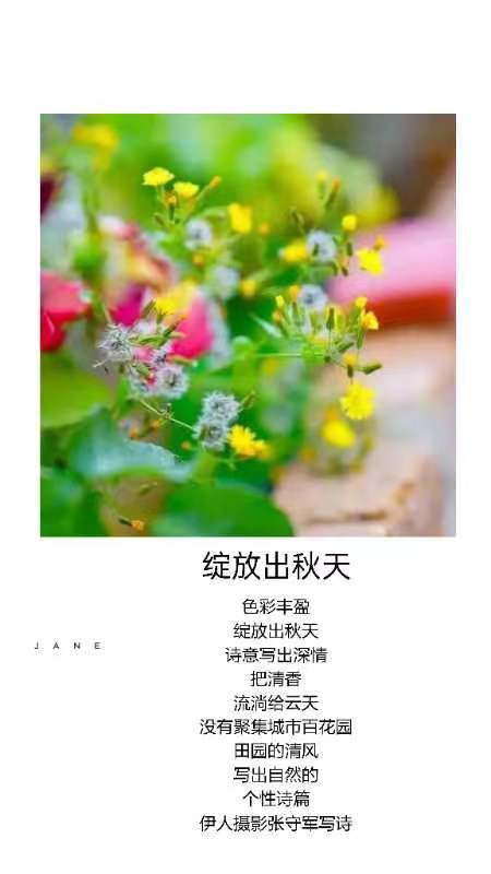 【雅诗总会】精品★行走在艺海岸边——张守军诗书画一览(图13)