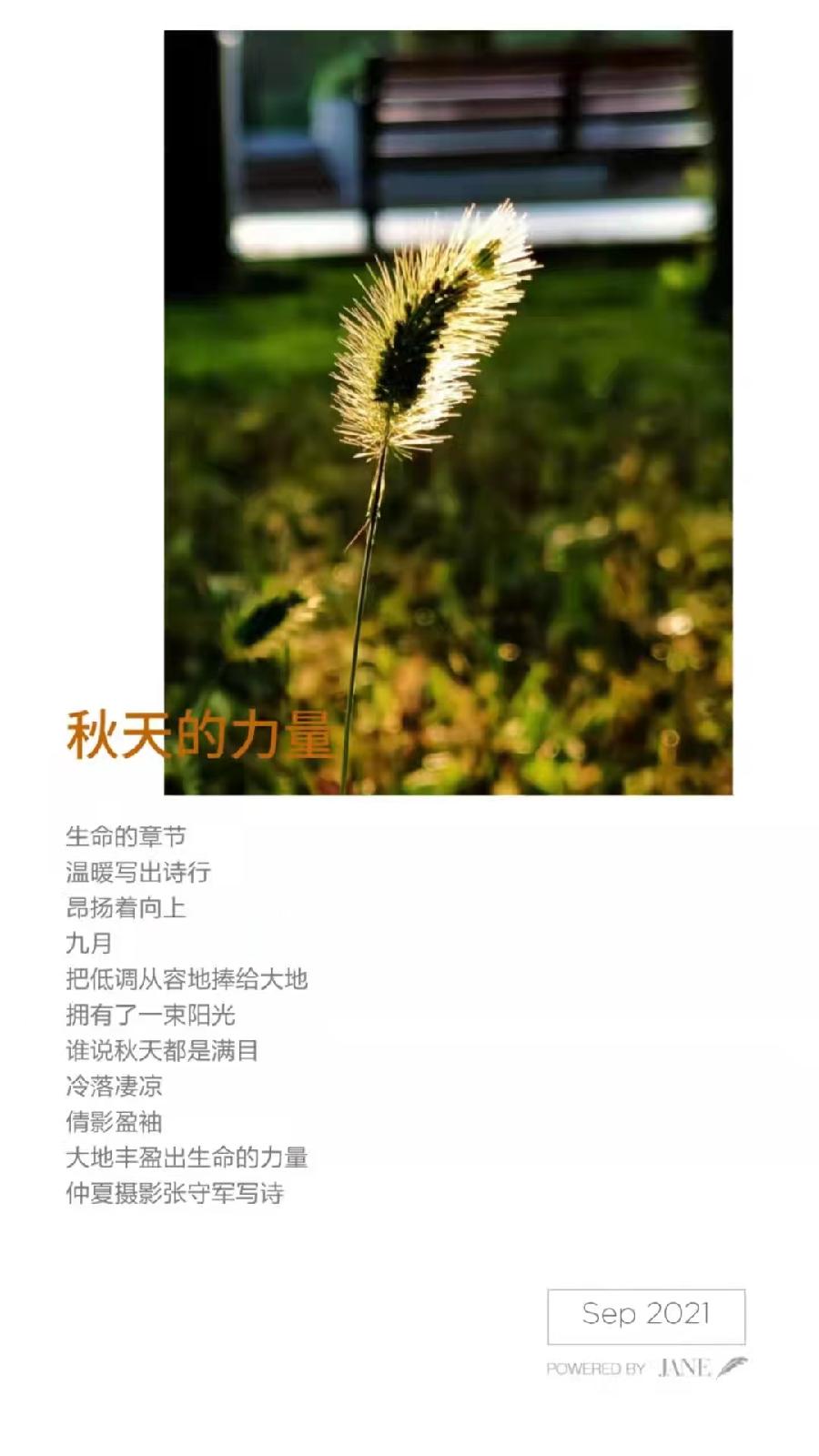 【雅诗总会】精品★行走在艺海岸边——张守军诗书画一览(图14)