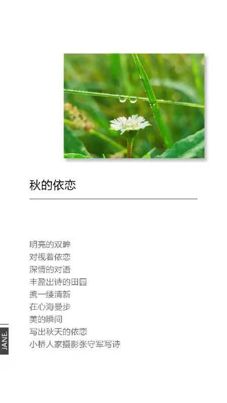 【雅诗总会】精品★行走在艺海岸边——张守军诗书画一览(图15)
