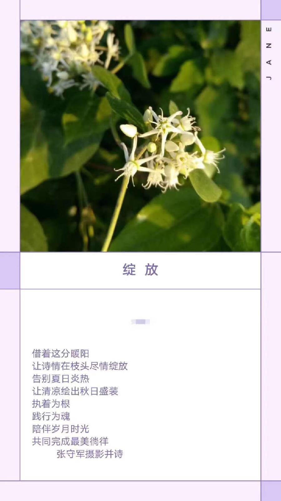 【雅诗总会】精品★行走在艺海岸边——张守军诗书画一览(图17)