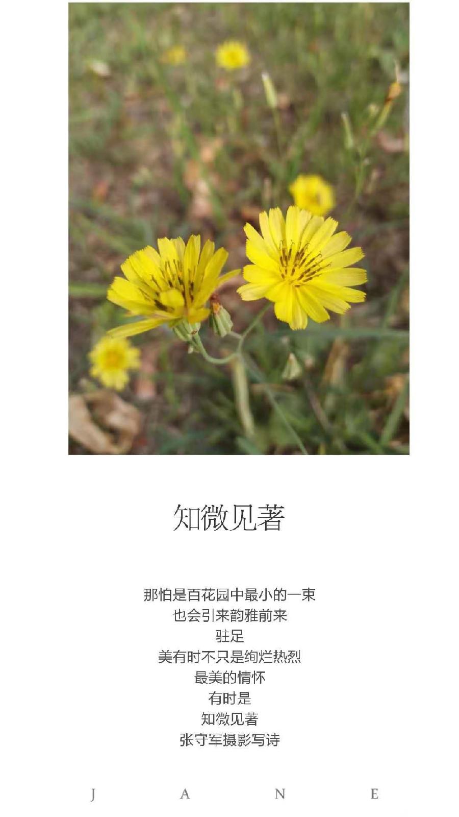 【雅诗总会】精品★行走在艺海岸边——张守军诗书画一览(图20)