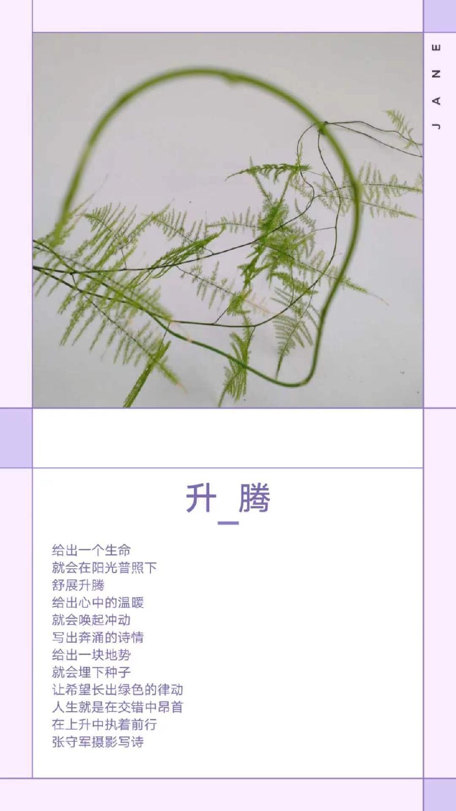 【雅诗总会】精品★行走在艺海岸边——张守军诗书画一览(图18)