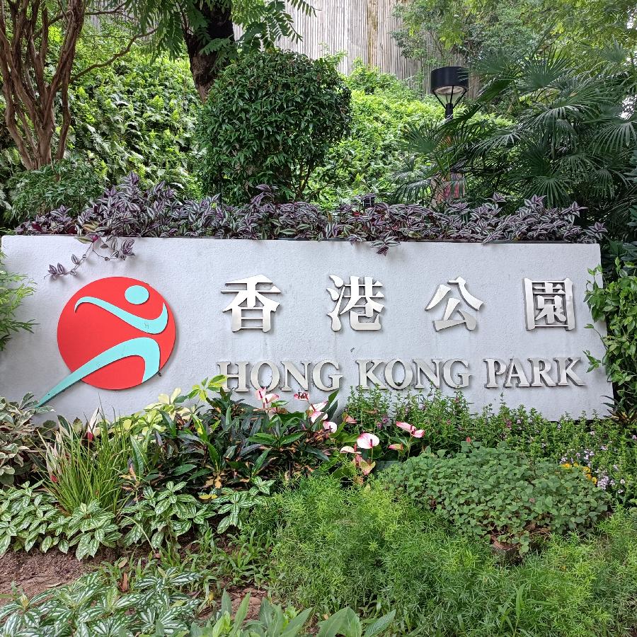 繁花似锦觅安宁（图3）