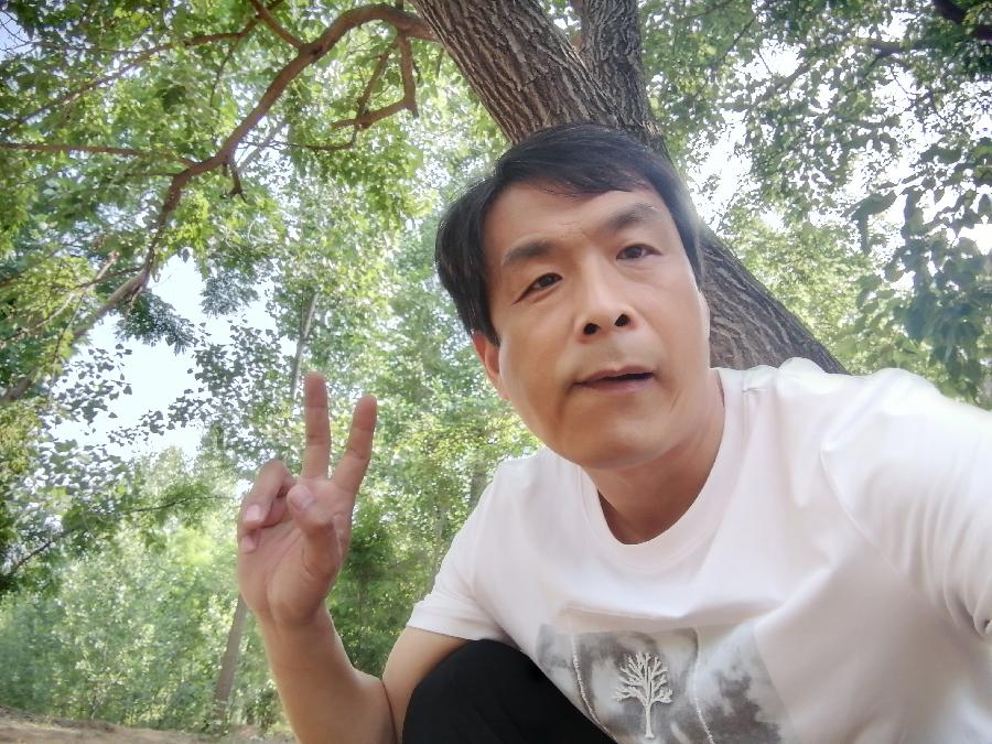 《故道文化•副刊》第一六六期：椹果成熟时（图20）