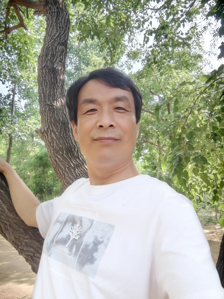 《故道文化•副刊》第一六六期：椹果成熟时（图22）