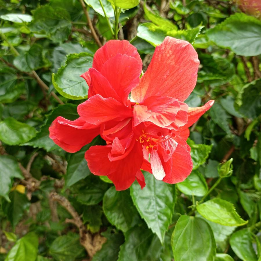 繁花似锦觅安宁（图8）