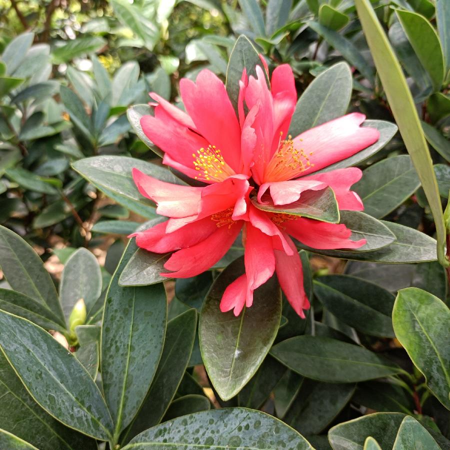 繁花似锦觅安宁（图9）