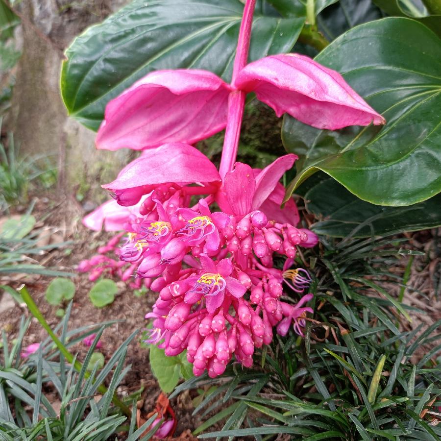 繁花似锦觅安宁（图19）