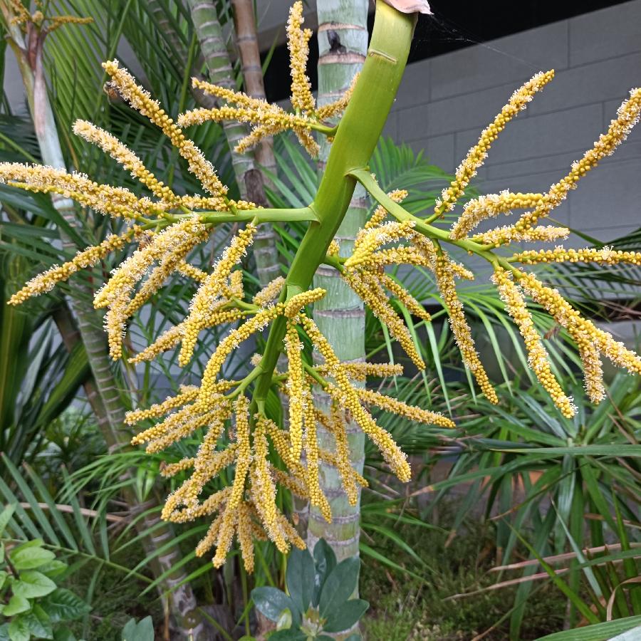 繁花似锦觅安宁（图57）