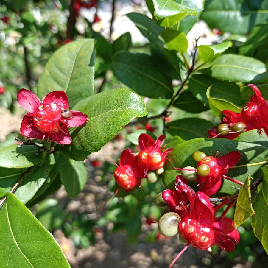 繁花似锦觅安宁（图66）