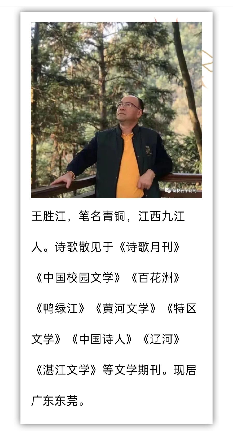 【雅诗总会】南方叙事（组诗）‖作者:青铜（图2）
