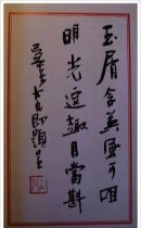 《汪凤岭嵌名联选萃》作者：汪凤岭（图2）