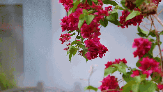 七律 夏至遐想 文／潘毅（图2）