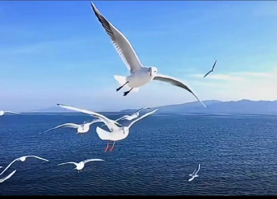 【获奖美文】书 趣 （散文） 作家/王长胜（图2）