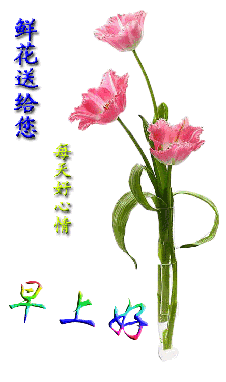 田向洪早安心语欣赏（图7）