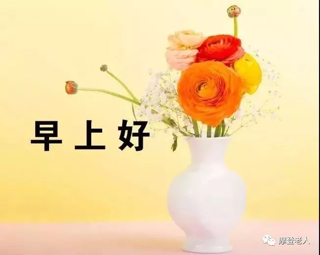 田向洪早安心语欣赏（图9）