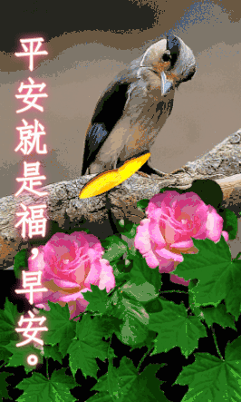 田向洪早安心语欣赏（图10）
