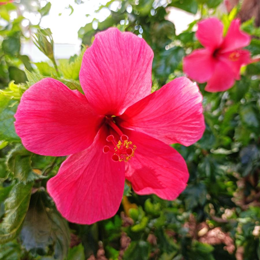 繁花似锦觅安宁（图72）