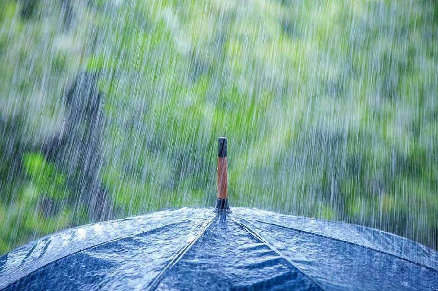 听雨 文/华美乐章(图2)