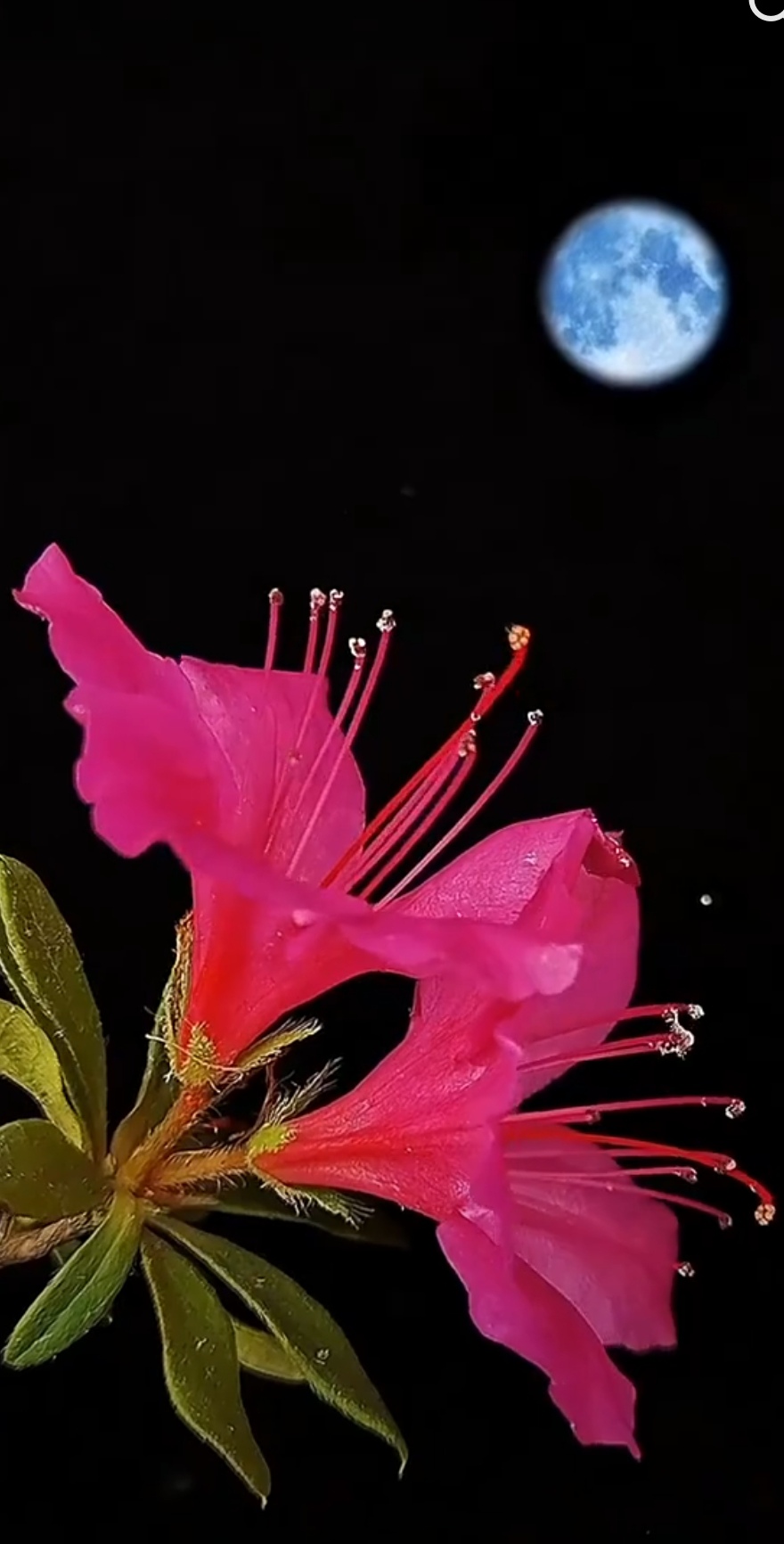 【华夏好诗词】分享王万欣诗词三首请欣赏(图10)