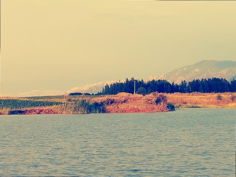 茵陈唱和（图2）
