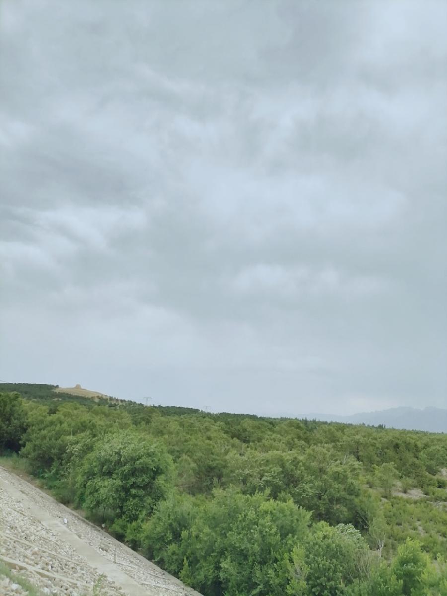 茵陈唱和（图3）