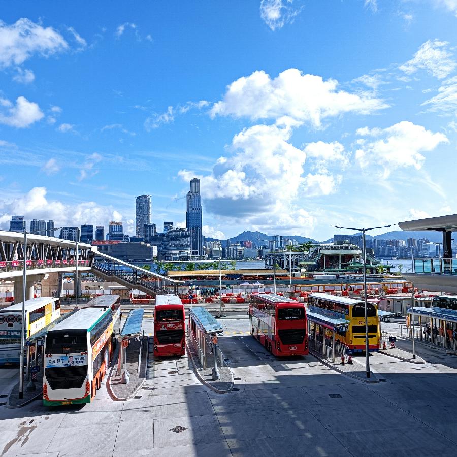 海边散步所见2022.6.23(图4)