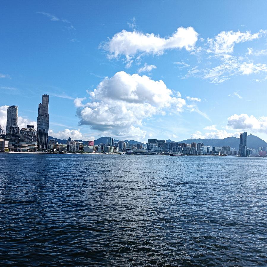海边散步所见2022.6.23(图7)