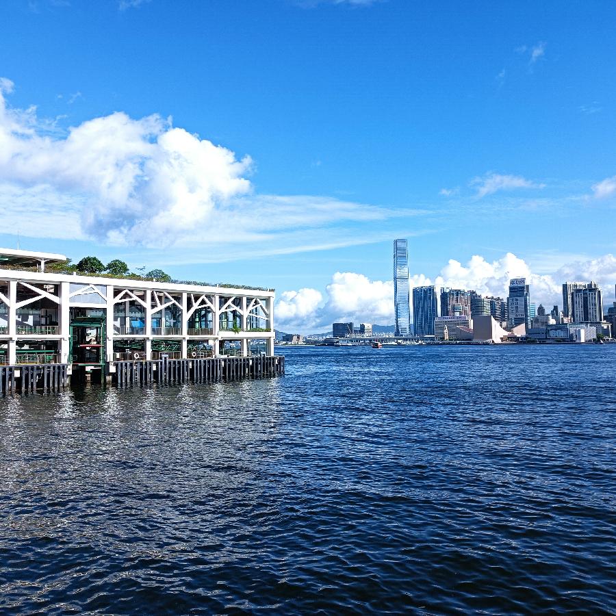 海边散步所见2022.6.23(图9)