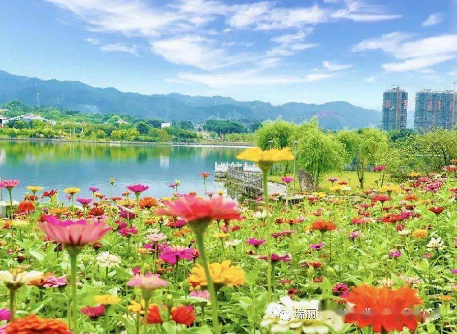 【明心文学】尹连荣/春天的季节 主播/薇薇(图3)