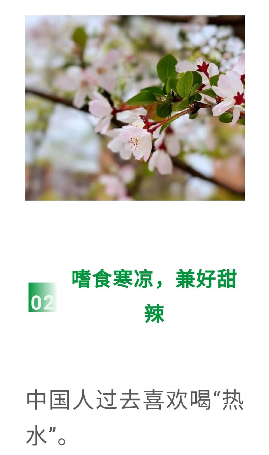 老中医：最耗伤身体的8种恶习，必须戒掉！普洱茶界（图7）
