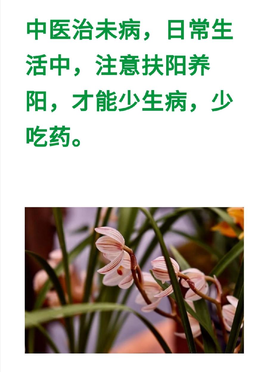 老中医：最耗伤身体的8种恶习，必须戒掉！普洱茶界（图28）