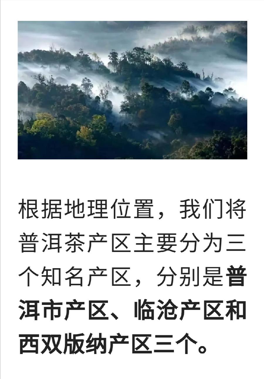 普洱茶各大山头的基本特性和口感，值得收藏！普洱茶界（图2）