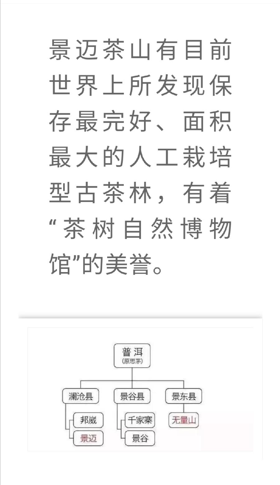 普洱茶各大山头的基本特性和口感，值得收藏！普洱茶界（图7）
