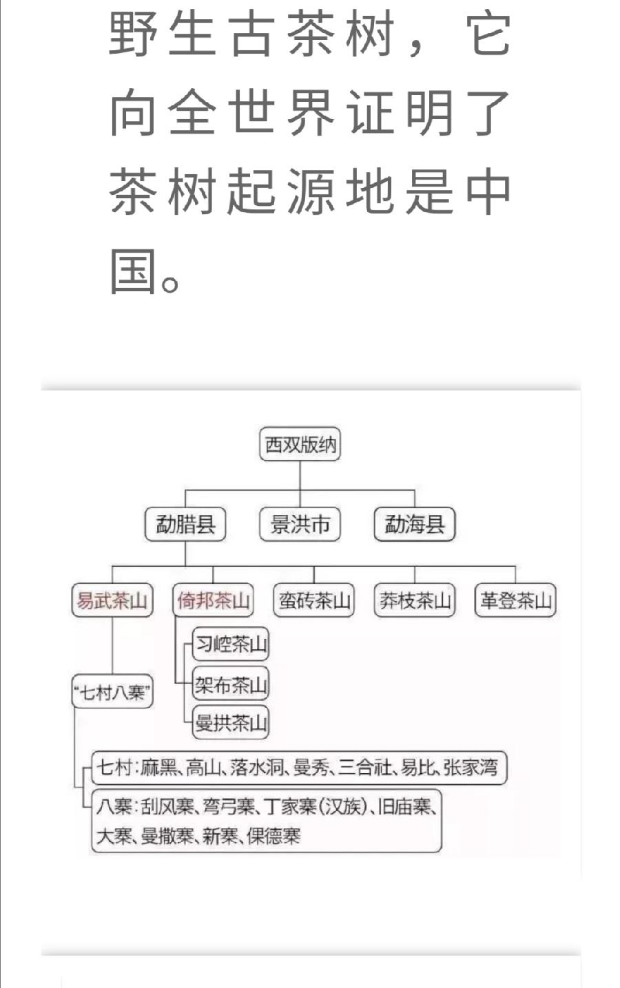 普洱茶各大山头的基本特性和口感，值得收藏！普洱茶界（图10）